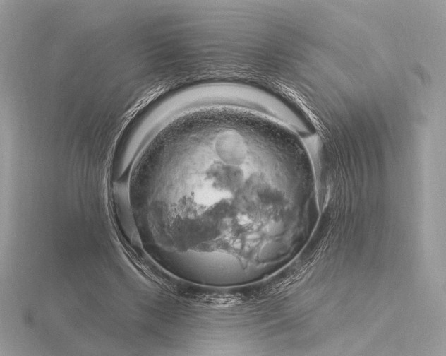 X0000116280443200912141352