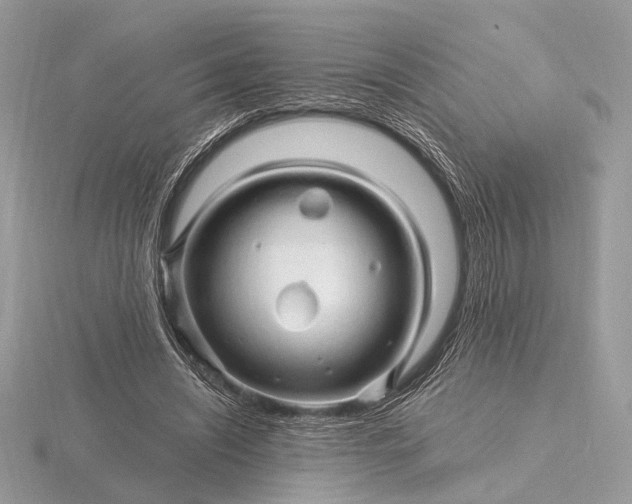 X0000116280444200912141352