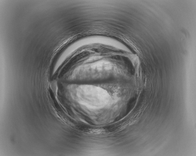 X0000116280446200912141352