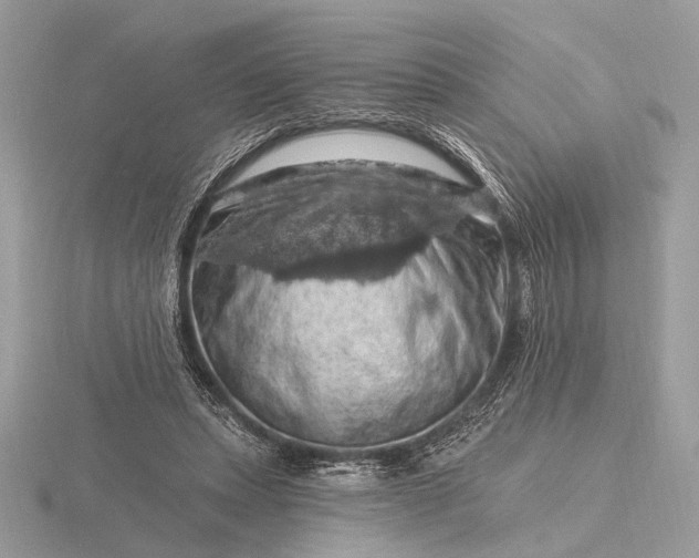 X0000116280447200912141352