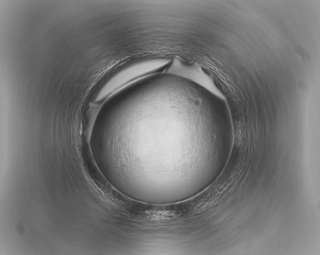 X0000116280448200912141352