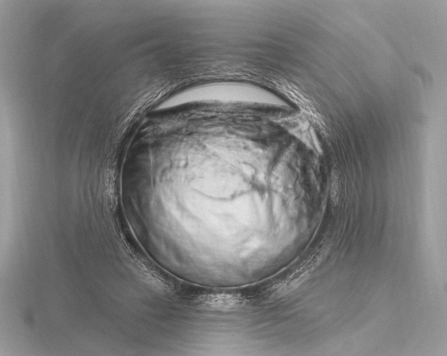 X0000116280449200912141352