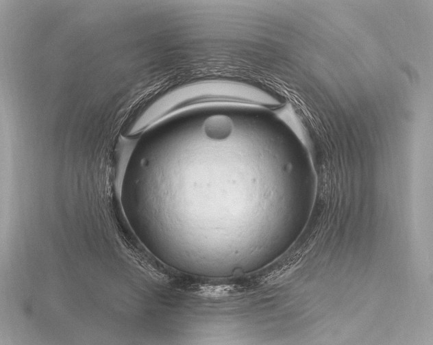 X0000116280450200912141352