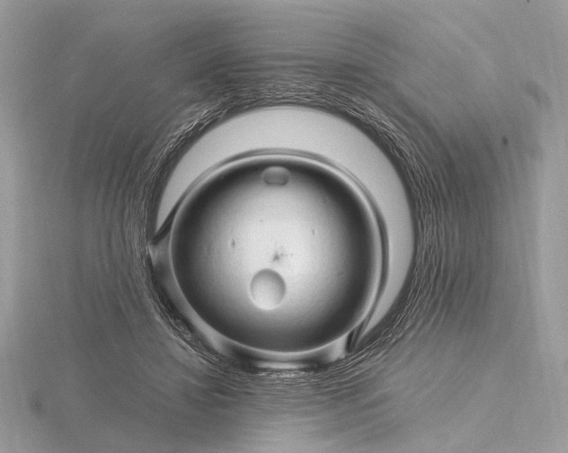 X0000116280452200912141352