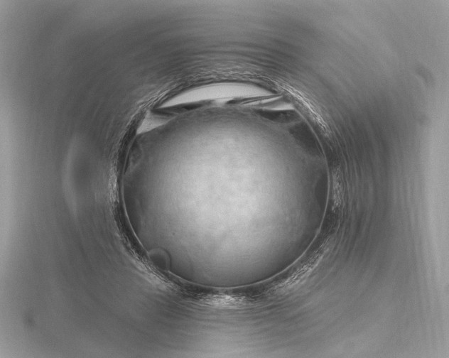 X0000116280453200912141352