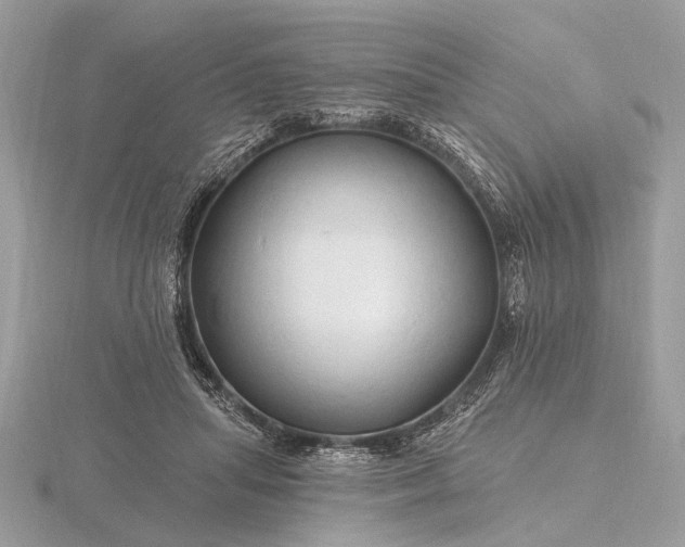 X0000116280455200912141352