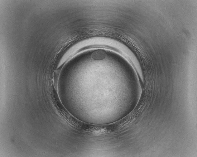 X0000116280456200912141352