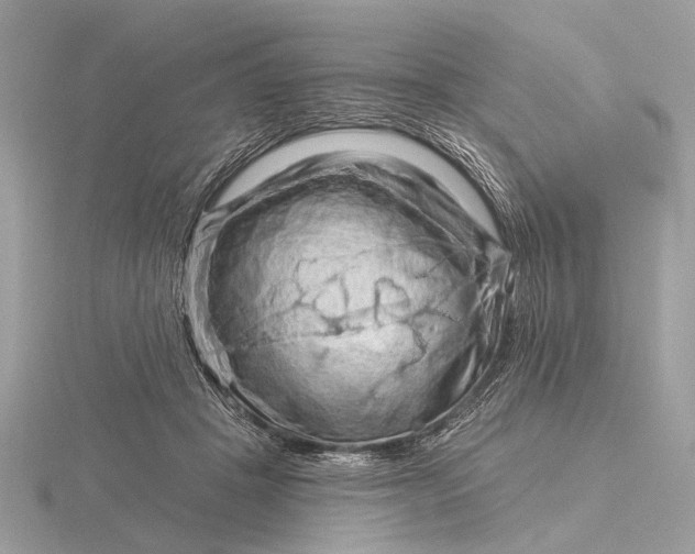 X0000116280457200912141352