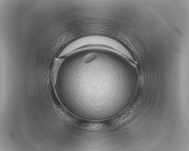 X0000116280458200912141352