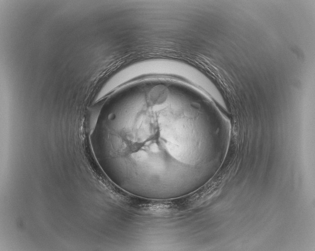 X0000116280462200912141352