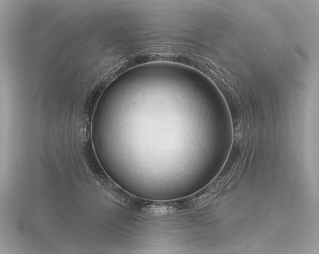 X0000116280464200912141352