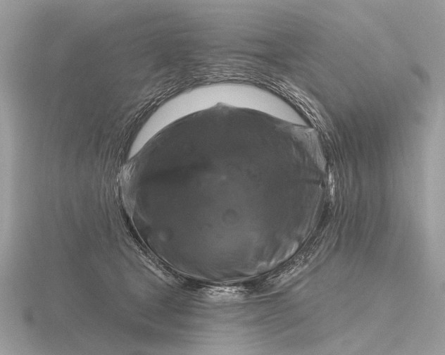 X0000116280465200912141352