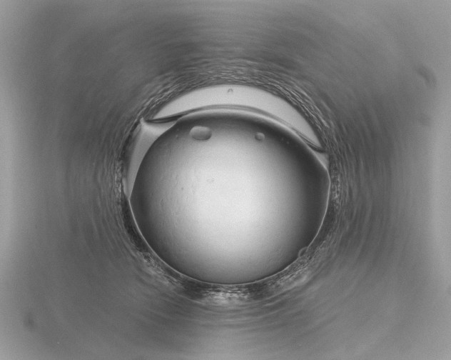 X0000116280466200912141352