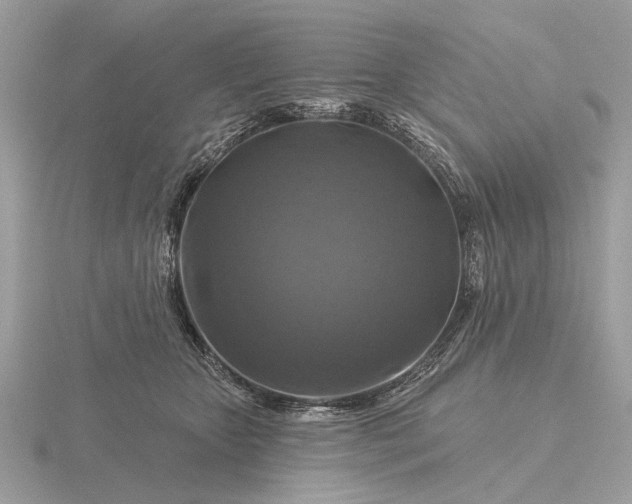 X0000116280467200912141352