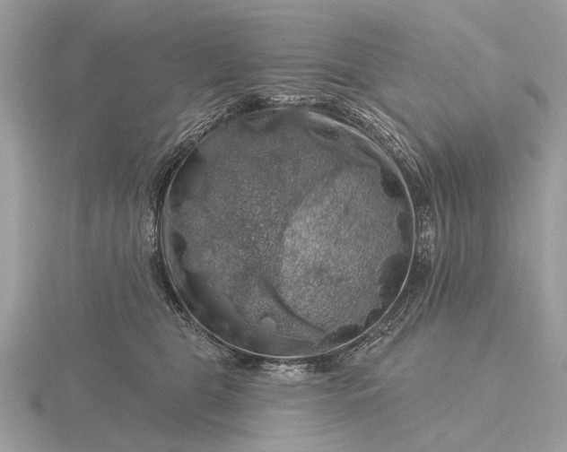 X0000116280469200912141352