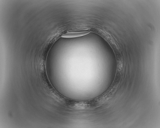 X0000116280470200912141352