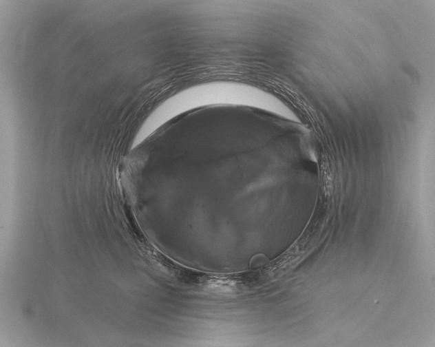 X0000116280471200912141352