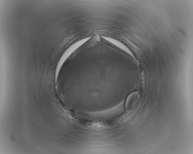 X0000116280475200912141352