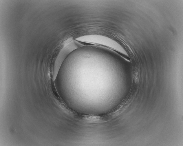 X0000116280476200912141352