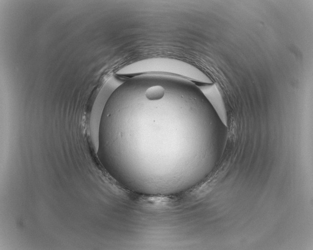 X0000116280478200912141352