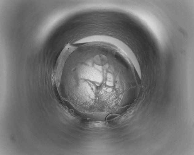 X0000116280479200912141352