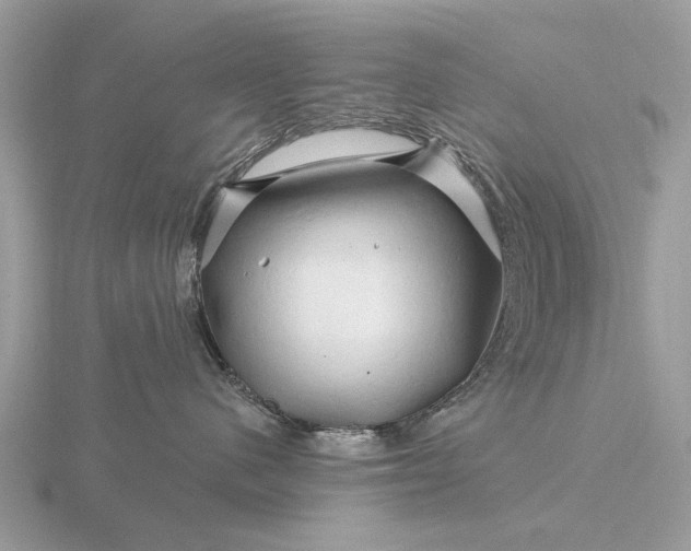 X0000116280480200912141352