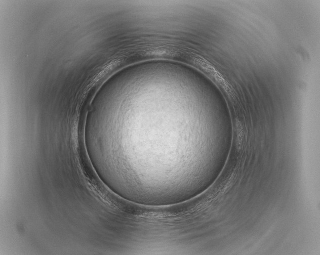 X0000116280482200912141352