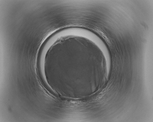 X0000116280484200912141352