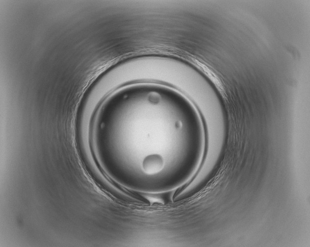 X0000116280485200912141352