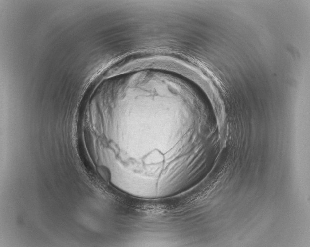 X0000116280487200912141352