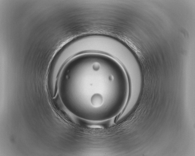 X0000116280488200912141352