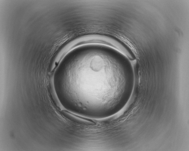 X0000116280489200912141352