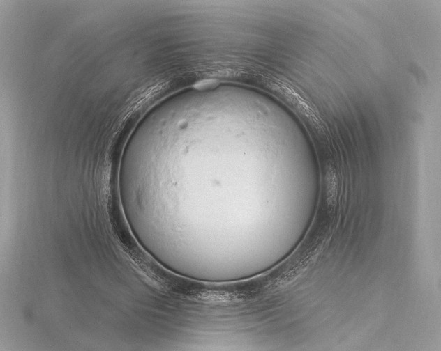 X0000116280490200912141352