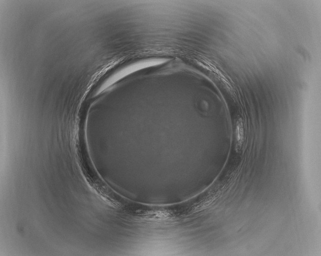 X0000116280492200912141352