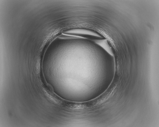 X0000116280493200912141352