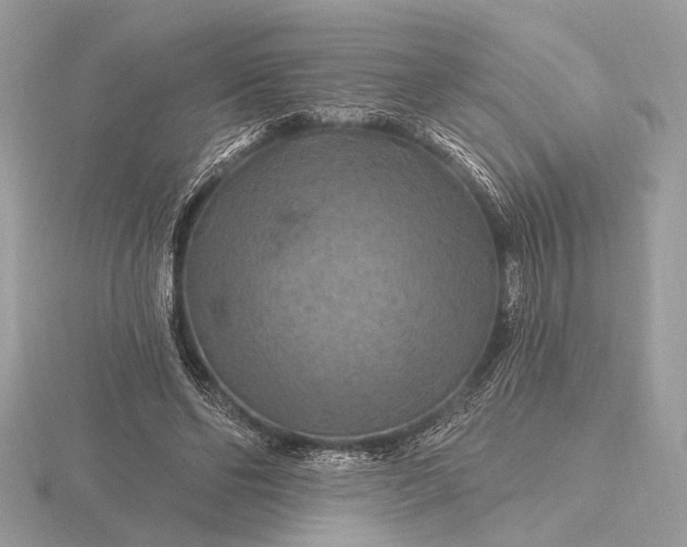 X0000116280494200912141351