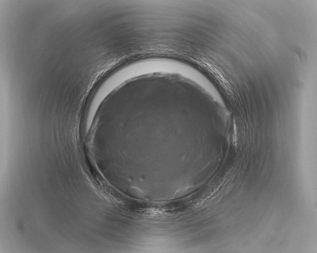 X0000116280496200912141351