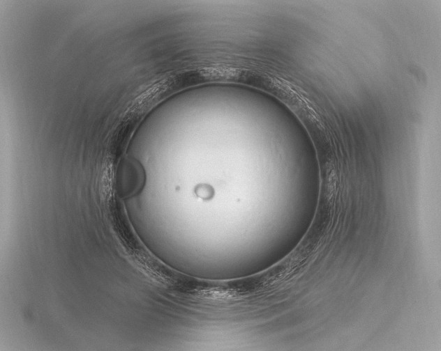 X0000116280498200912141351