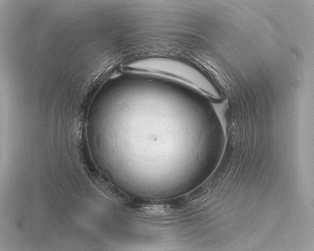 X0000116280499200912141351