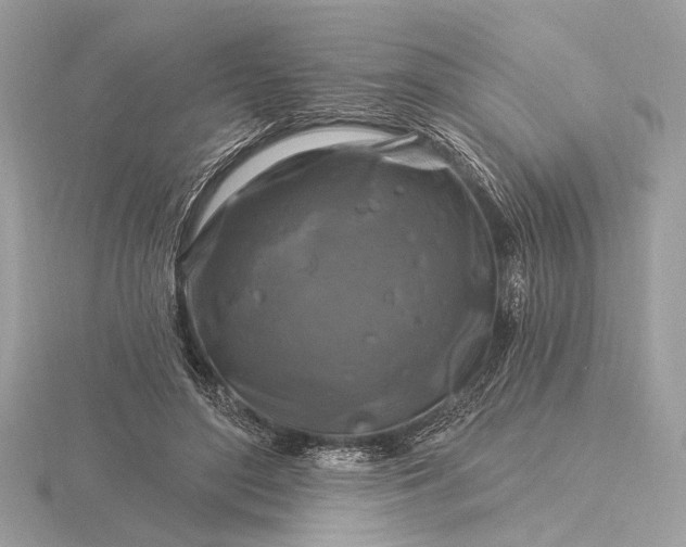 X0000116280500200912141351