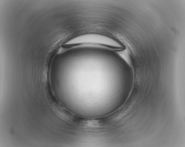 X0000116280501200912141351