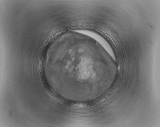 X0000116280503200912141351