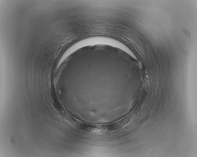 X0000116280504200912141351