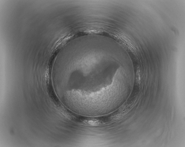 X0000116280506200912141351