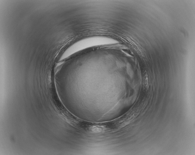 X0000116280508200912141351