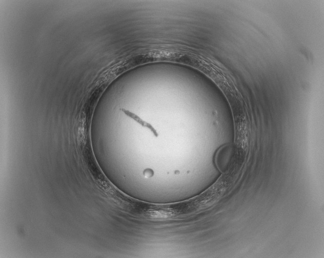 X0000116280510200912141351