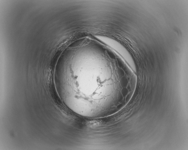 X0000116280511200912141351