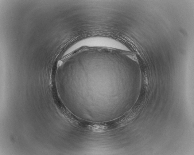 X0000116280512200912141351