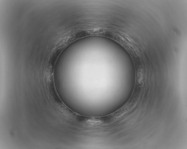 X0000116280515200912141351