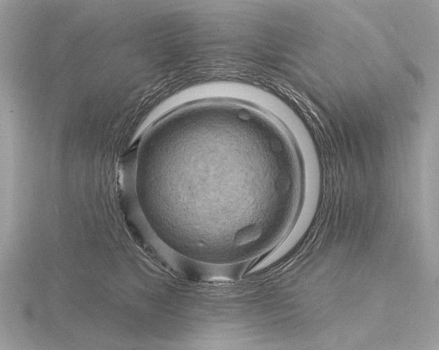 X0000116280517200912141351